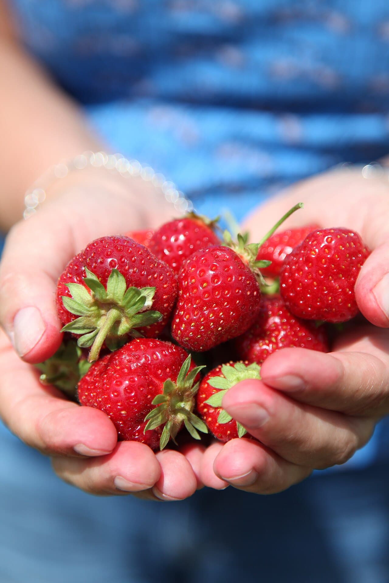 Fragole