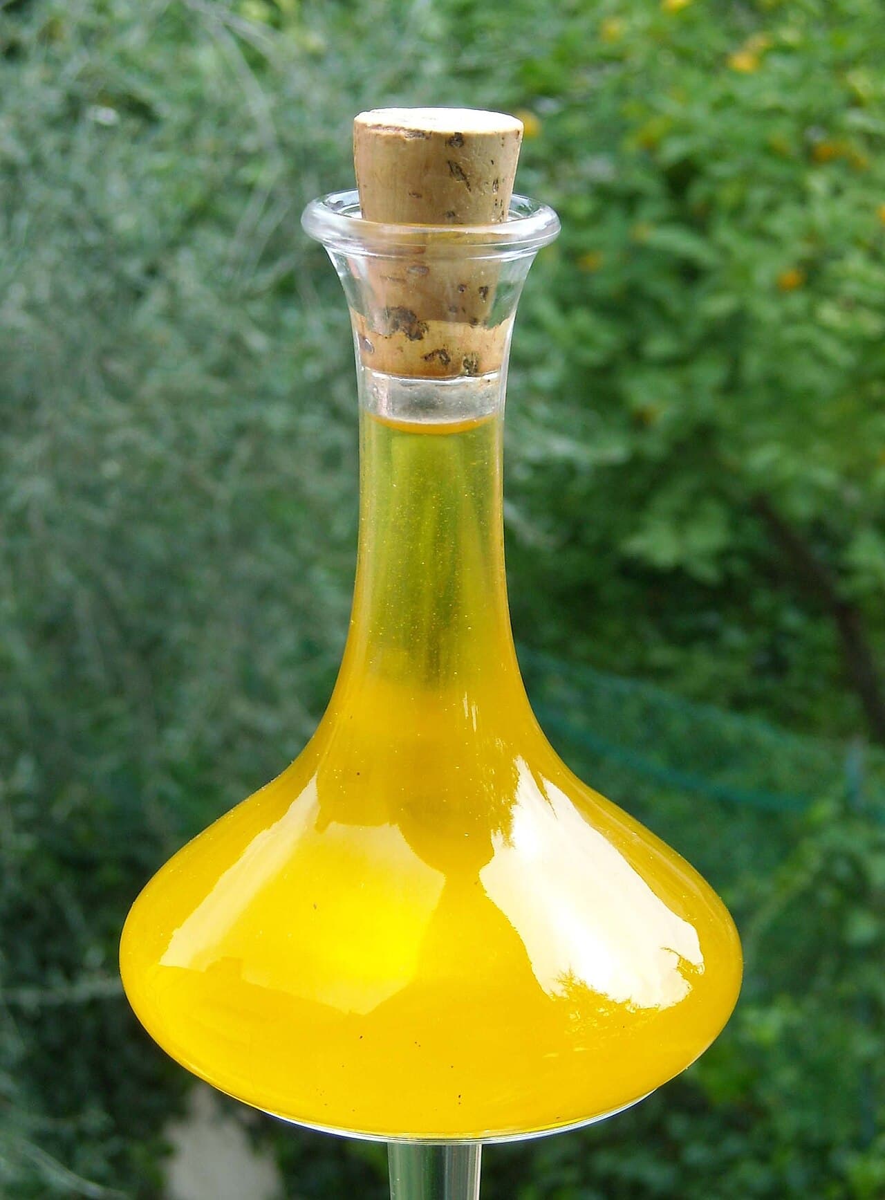 Olio di oliva