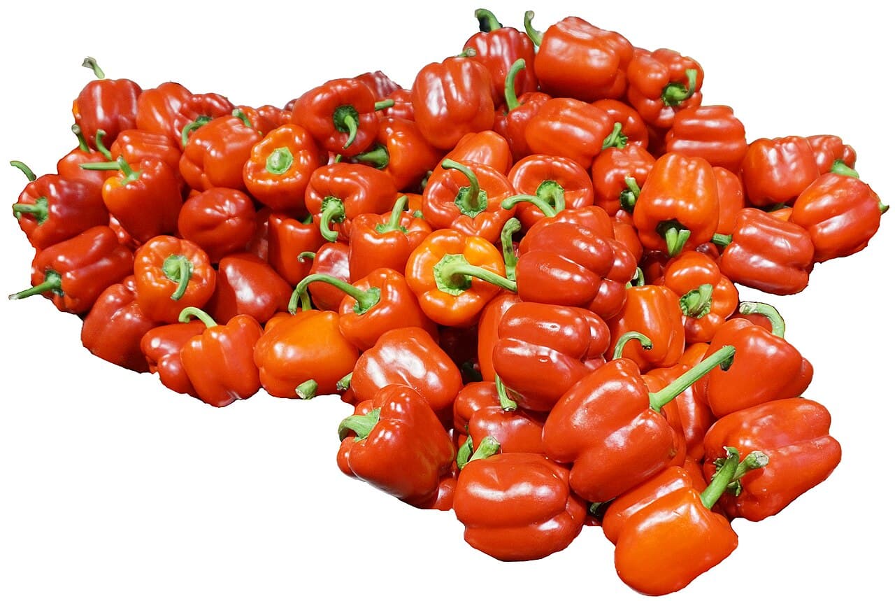 Peperone rosso