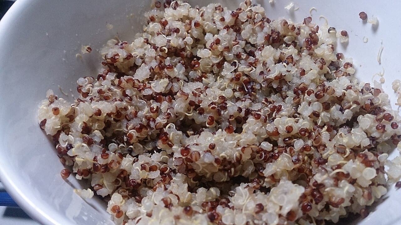 Quinoa cotta
